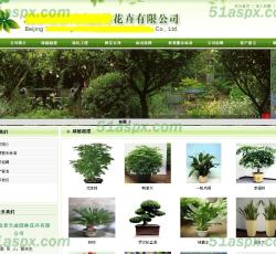 绿植展示