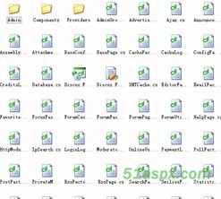 DicuzNT论坛1.0SQLServer版源码