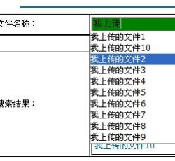 搜索提示 搜索提示
