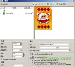 cuteEditor6.0多语言版(集成lic文件)