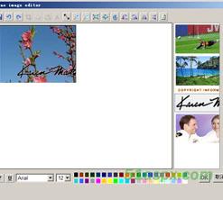 cuteEditor6.0多语言版(集成lic文件)