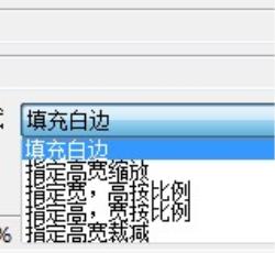 目录及选项 目录及选项