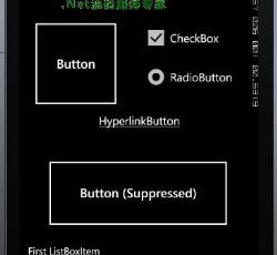 效果展示2