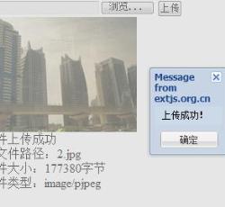 上传成功