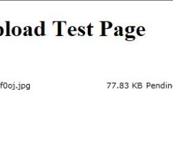单文件上传 单文件上传