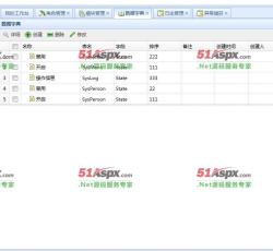 字典管理 字典管理