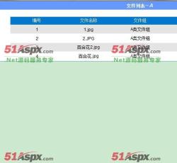 管理首页 管理首页