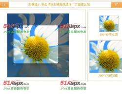 图片截图 图片截图
