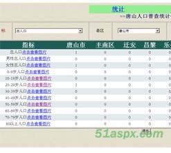 某市人口普查系统源码