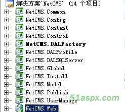 NetCms1.0(Buid080411)免安装版源码