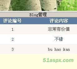 洪病毒单用户Blog系统源码