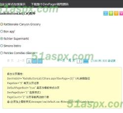 DevPage2005 1.0 Beta版Demo源码