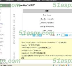 DevPage2005 1.0 Beta版Demo源码