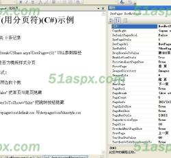 DevPage2005 1.0 Beta版Demo源码