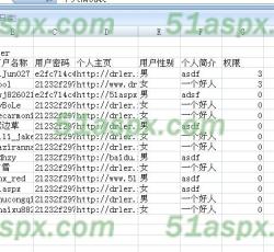 导出的Excel